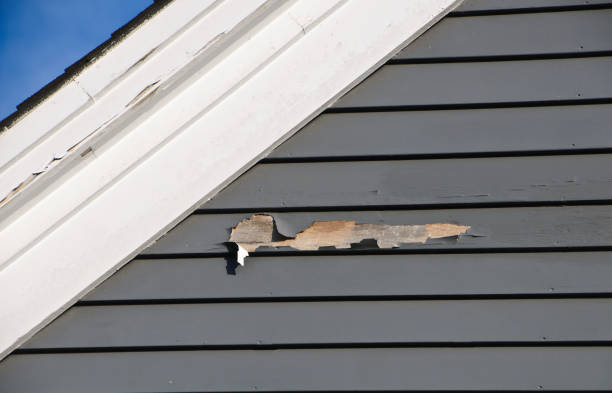 Best Fascia and Soffit Installation  in Matthews, NC